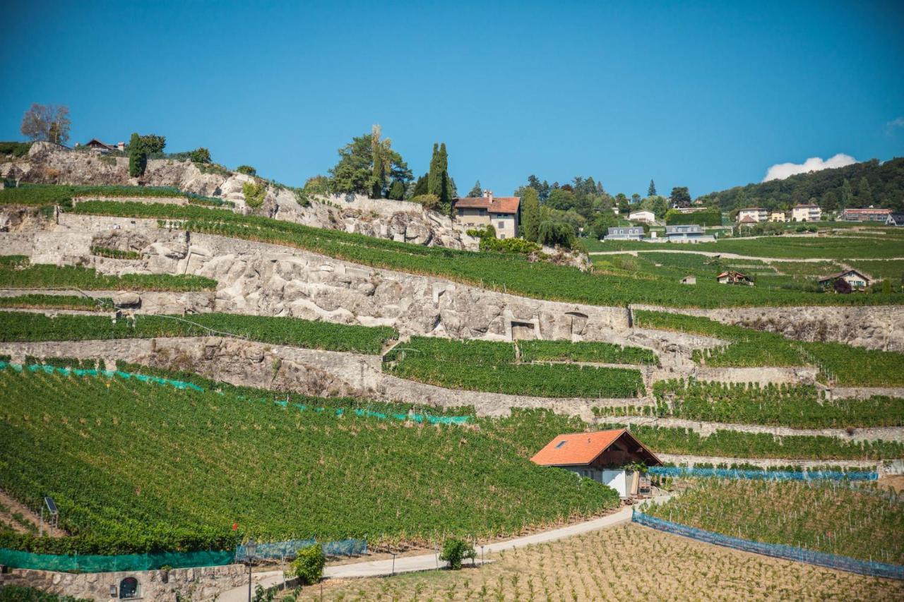 Auberge De Rivaz Kültér fotó
